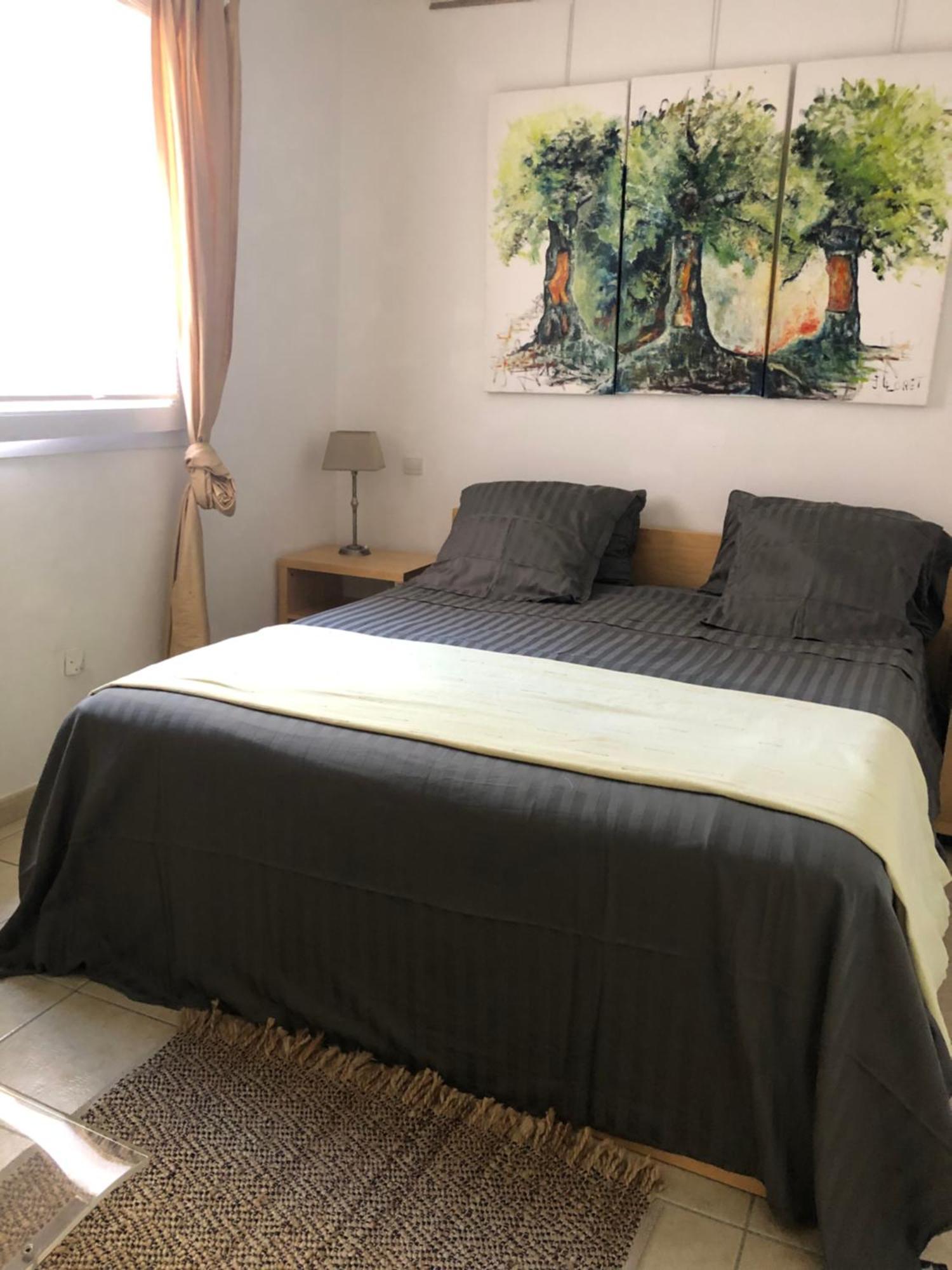 Apartmán La Terrasse Port Vendres Exteriér fotografie